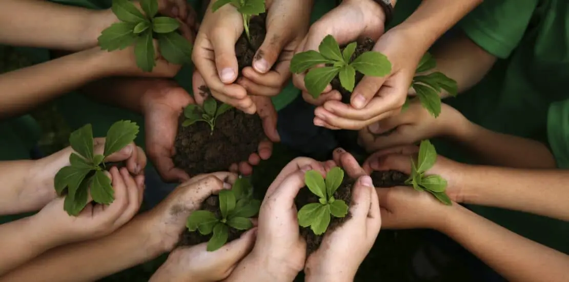 Why Is Gardening Good For The Environment