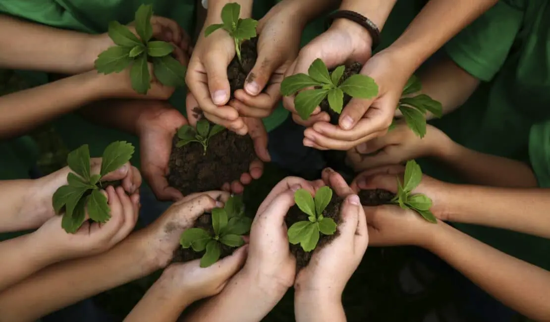 Why Is Gardening Good For The Environment