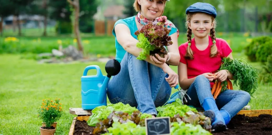 Where Is Commercial Gardening Practiced