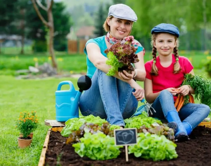 Where Is Commercial Gardening Practiced