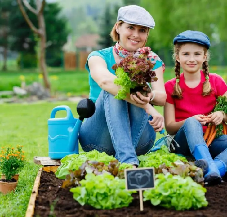 Where Is Commercial Gardening Practiced