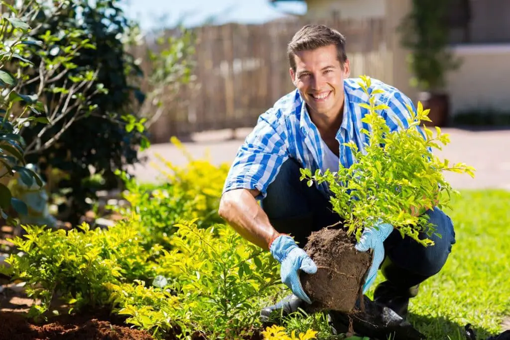 What Is A Master Gardener 
