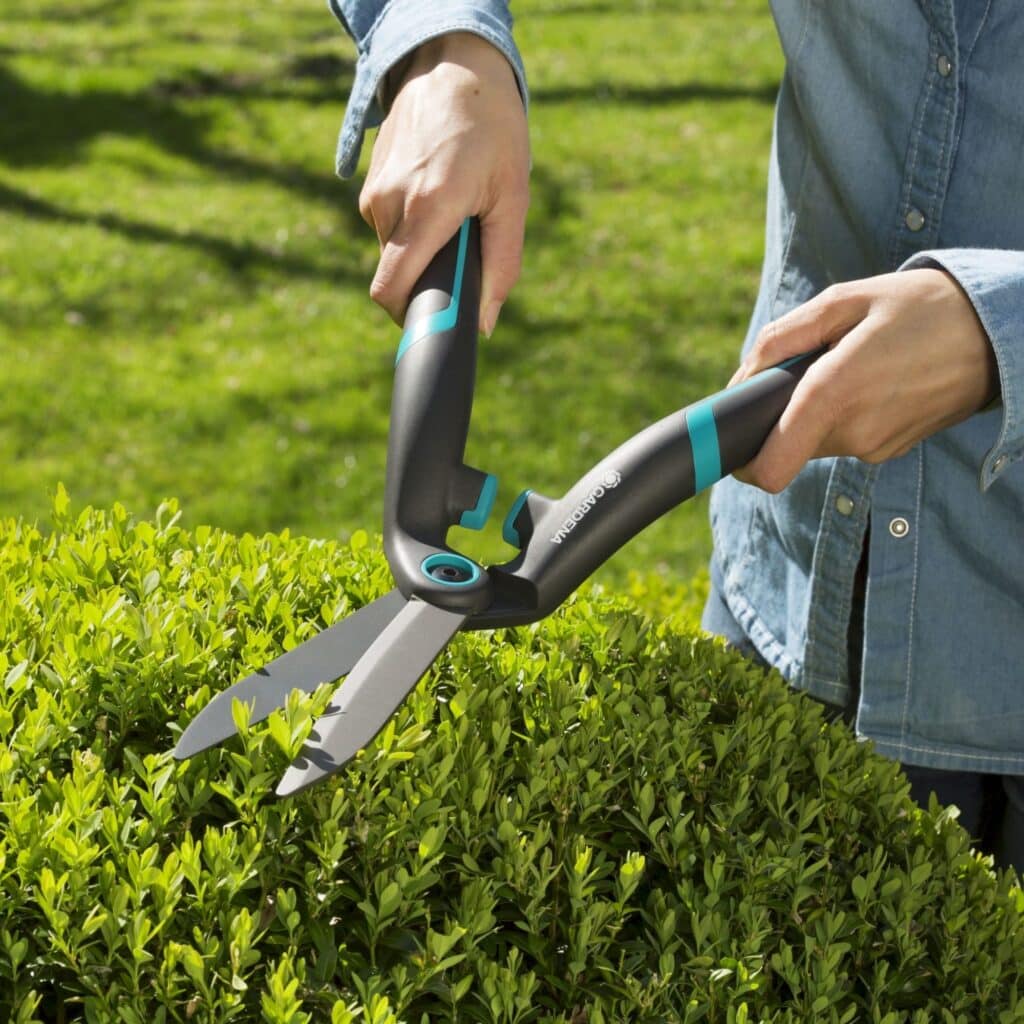 How To Disinfect Gardening Tools