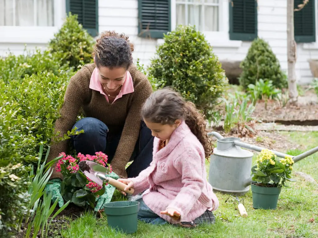 What Does Naturalizing Mean In Gardening 