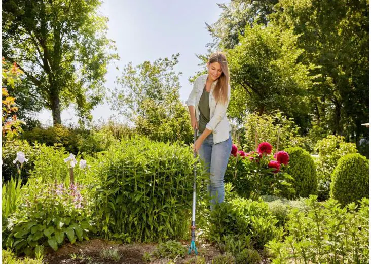 How To Sterilize Gardening Tools