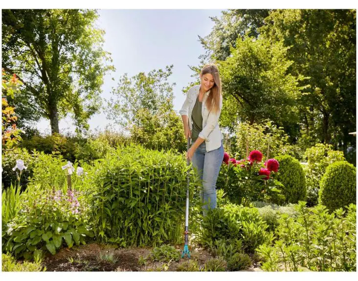 How To Sterilize Gardening Tools