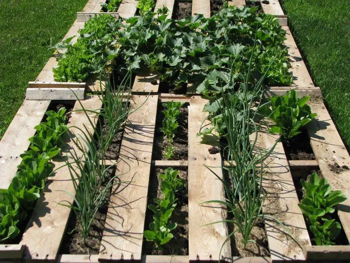 How To Use Pallets For Gardening