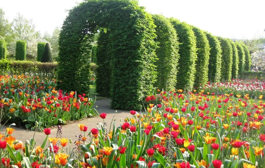 Where Is Keukenhof Gardens Located