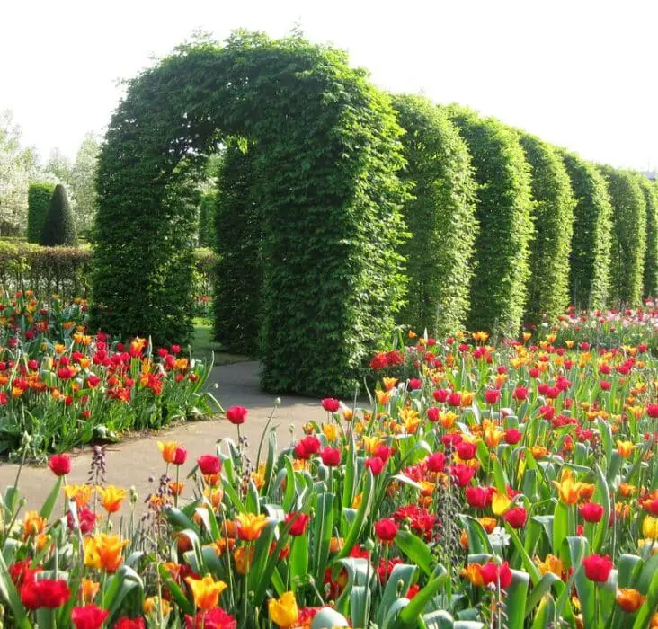 Where Is Keukenhof Gardens Located