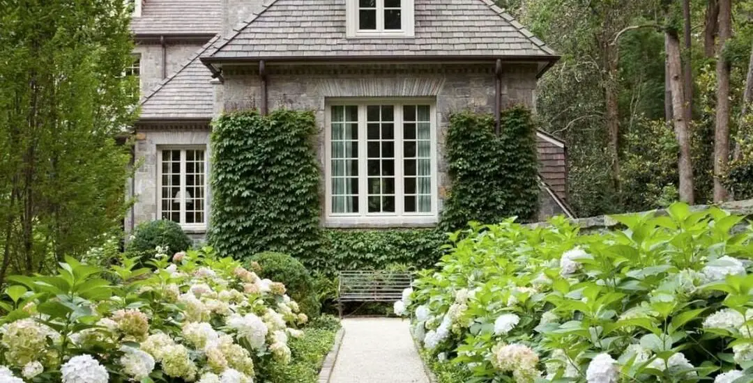 Where To Buy Better Homes And Gardens Magazine