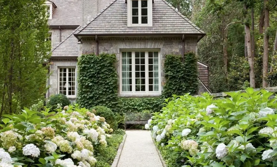 Where To Buy Better Homes And Gardens Magazine