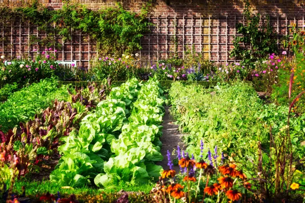What Are Some Benefits Related To Urban Gardening