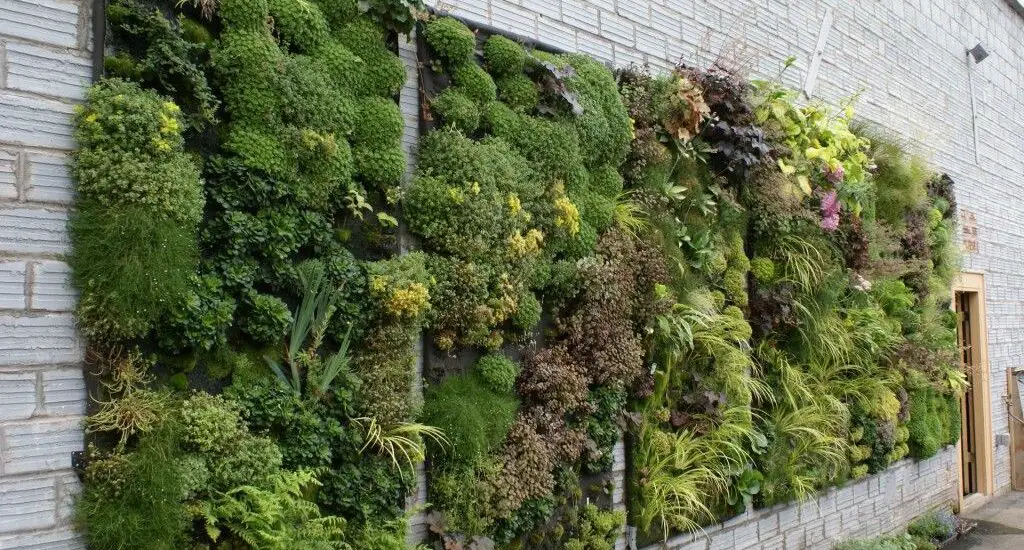 What Is Vertical Gardening