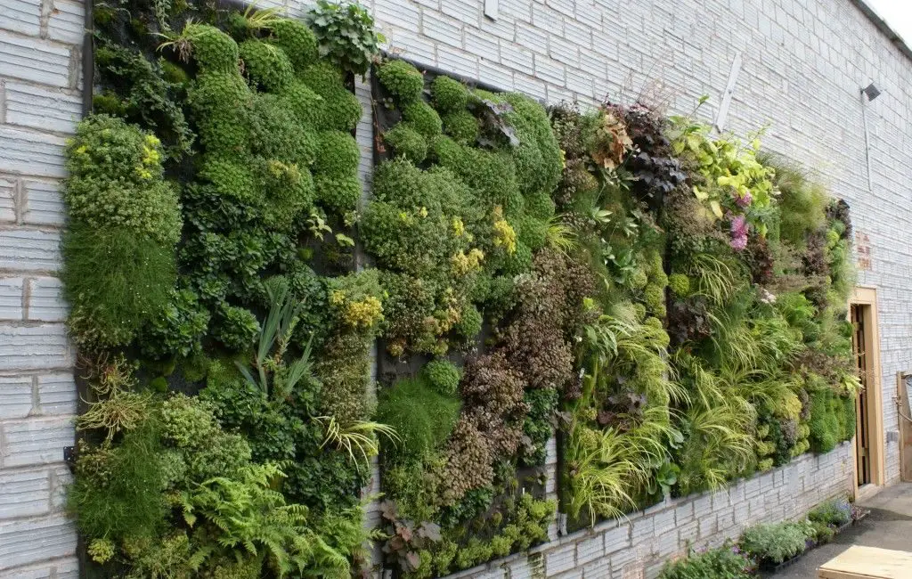 What Is Vertical Gardening