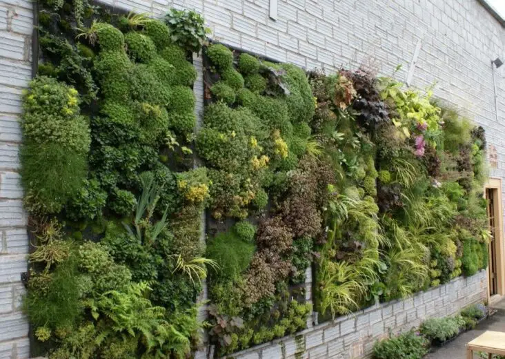 What Is Vertical Gardening