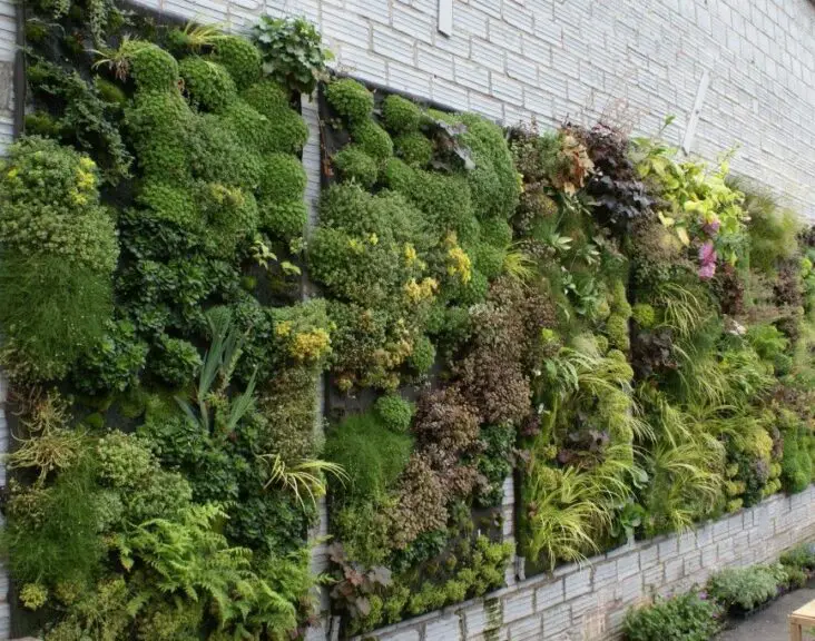 What Is Vertical Gardening