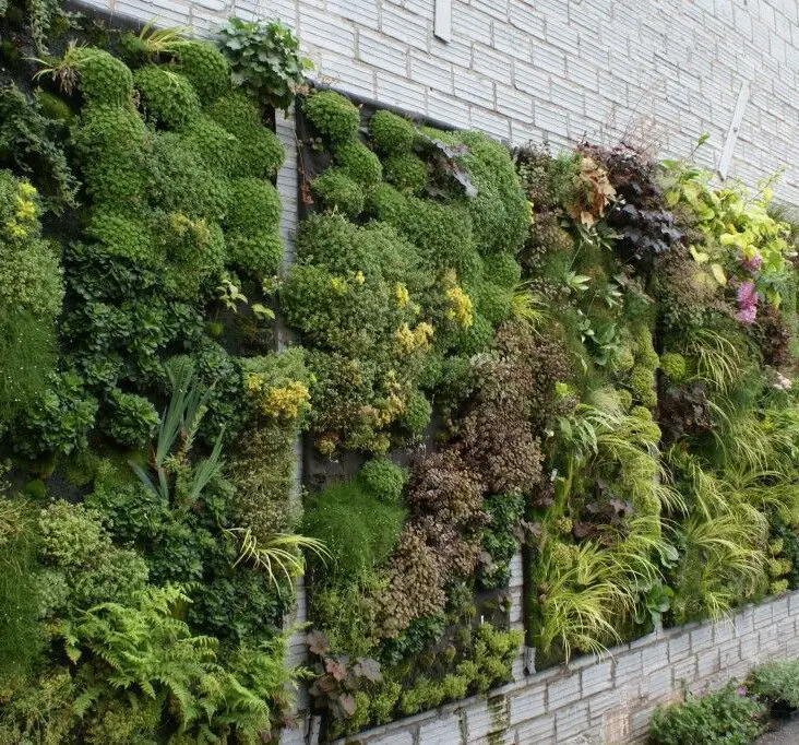 What Is Vertical Gardening