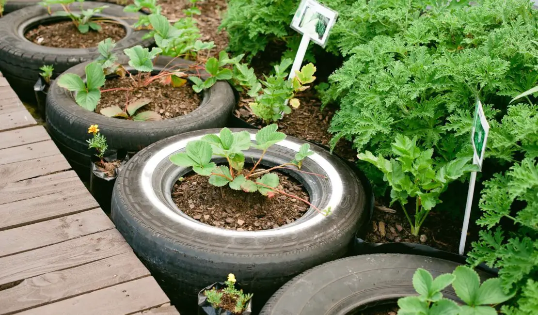 Are Tires Toxic For Gardening