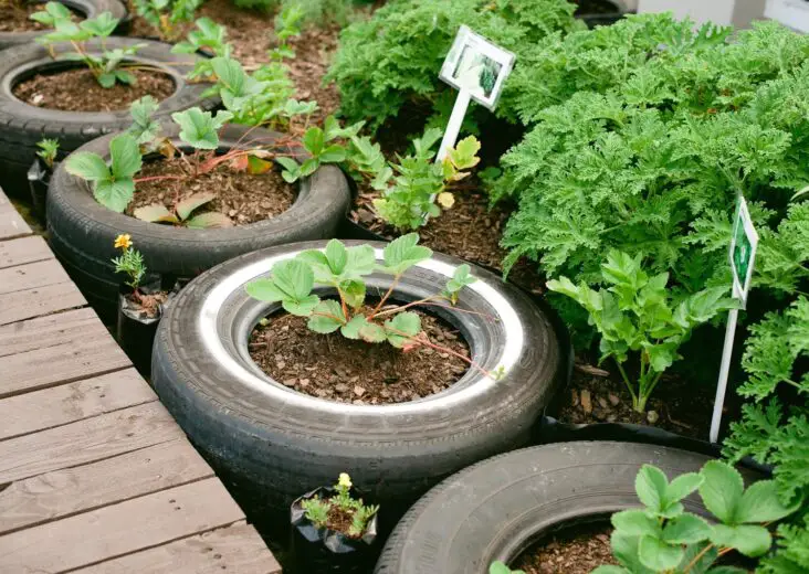 Are Tires Toxic For Gardening