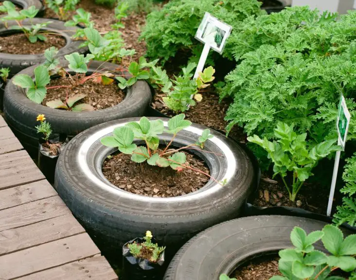 Are Tires Toxic For Gardening