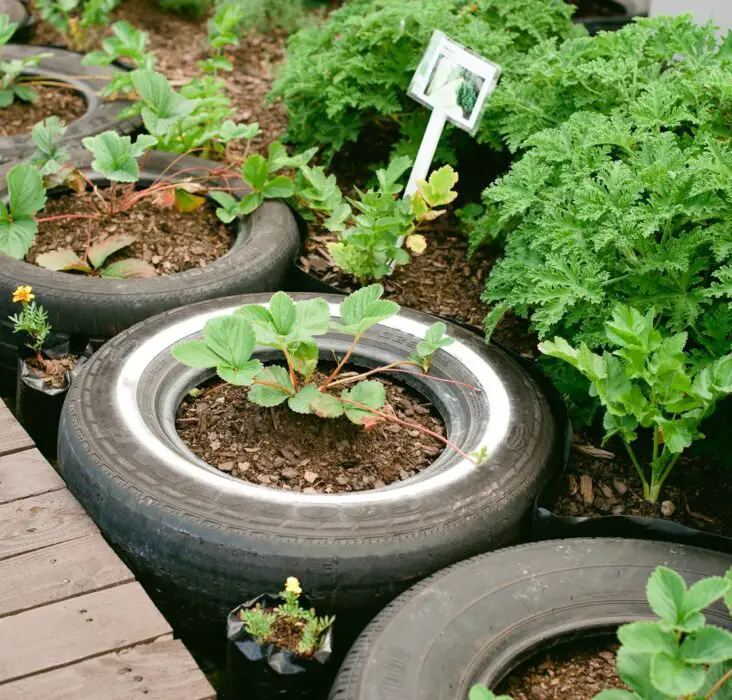 Are Tires Toxic For Gardening