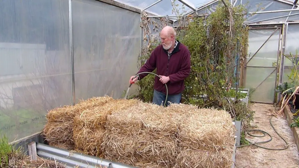 How To Condition Straw Bales For Gardening
