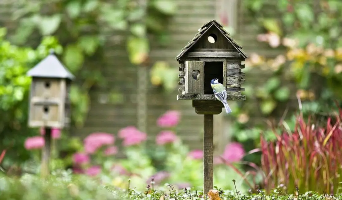 How To Keep Birds Off My Patio