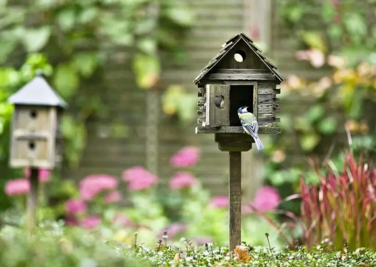 How To Keep Birds Off My Patio