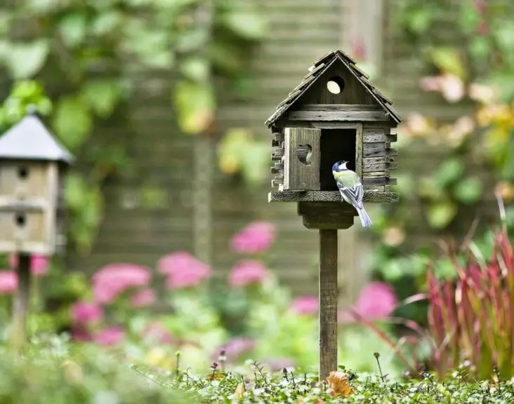 How To Keep Birds Off My Patio