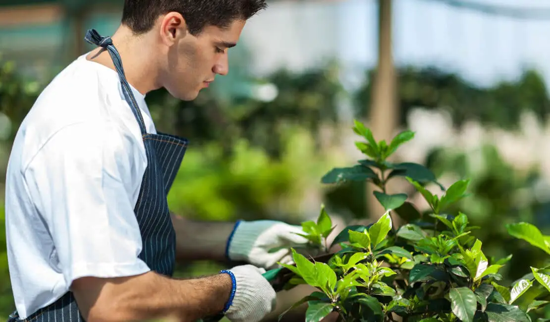 Does Gardening Burn Calories