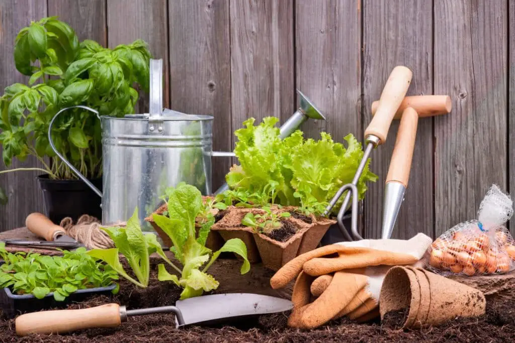 How To Disinfect Gardening Tools