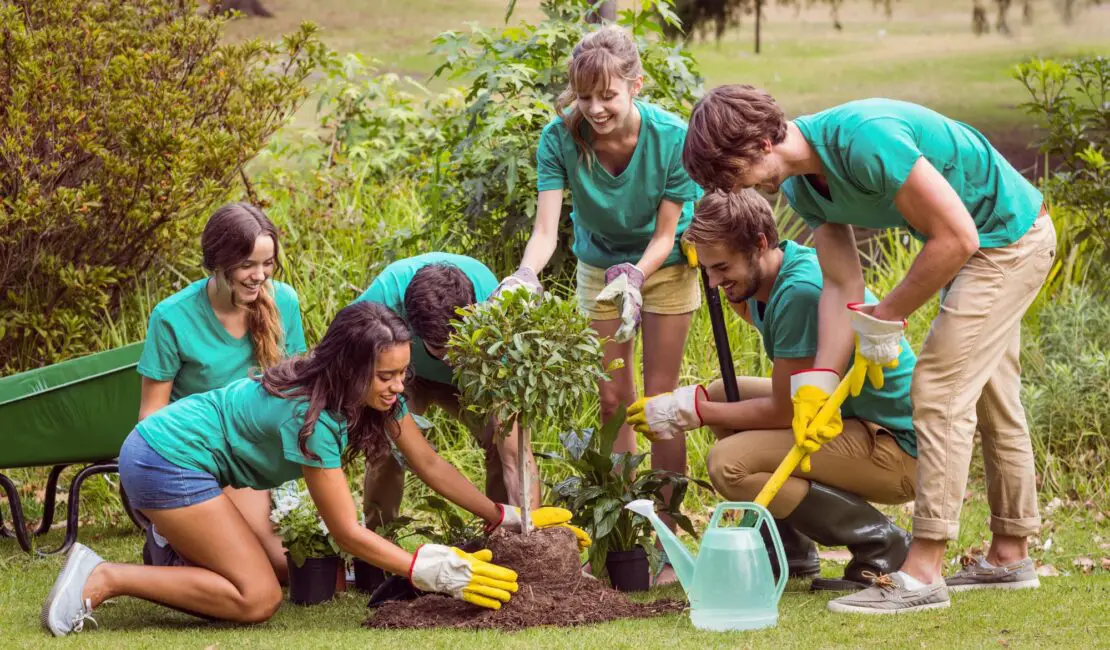 Why Are Community Gardens Good