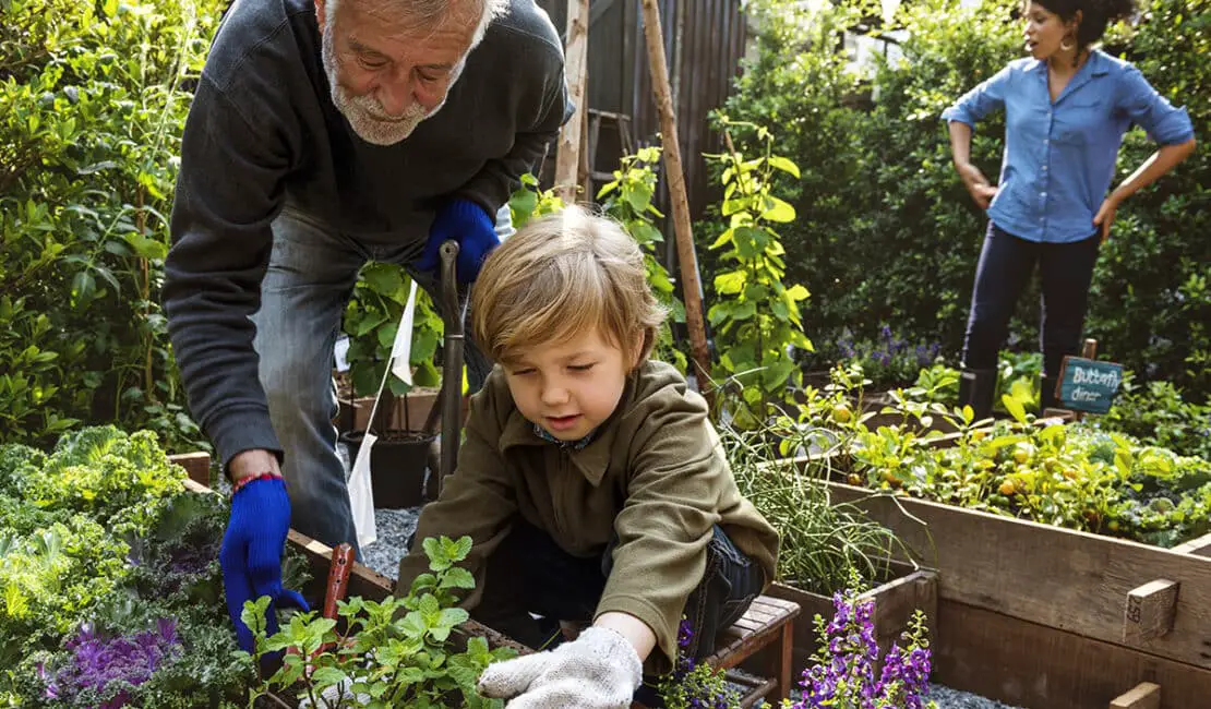 What Is A Gardening Leave