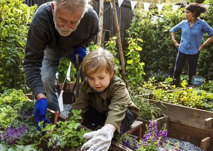 What Is A Gardening Leave