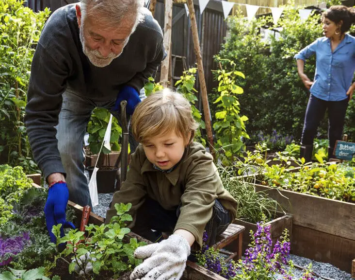 What Is A Gardening Leave