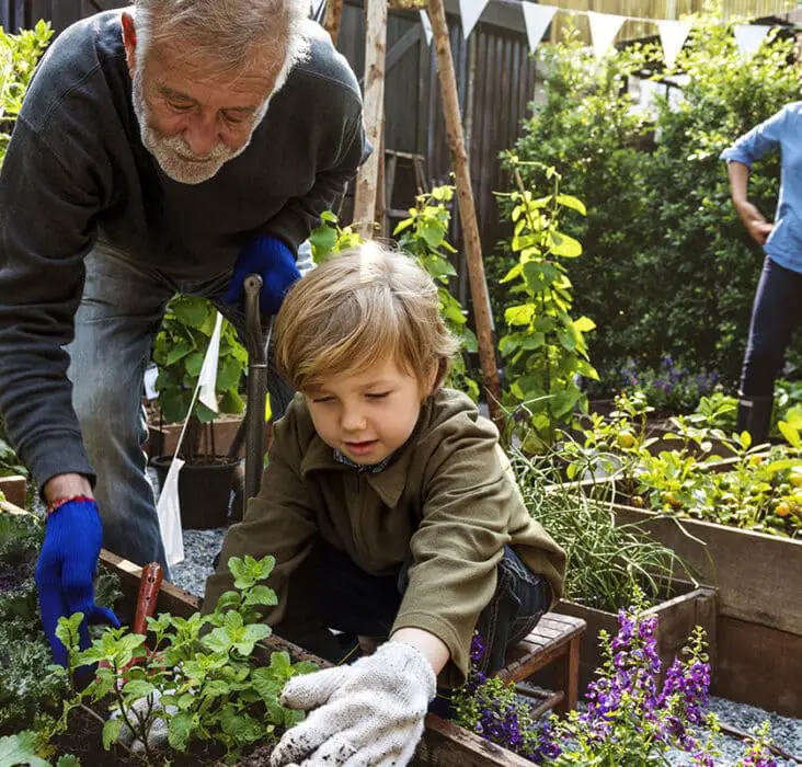 What Is A Gardening Leave