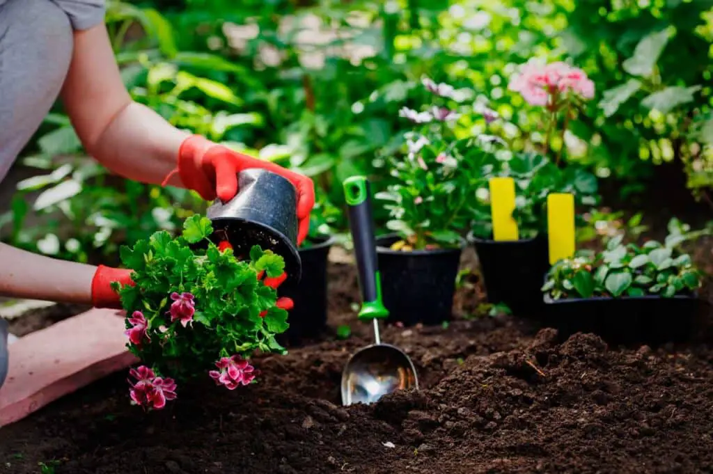 How To Hang Gardening Tools