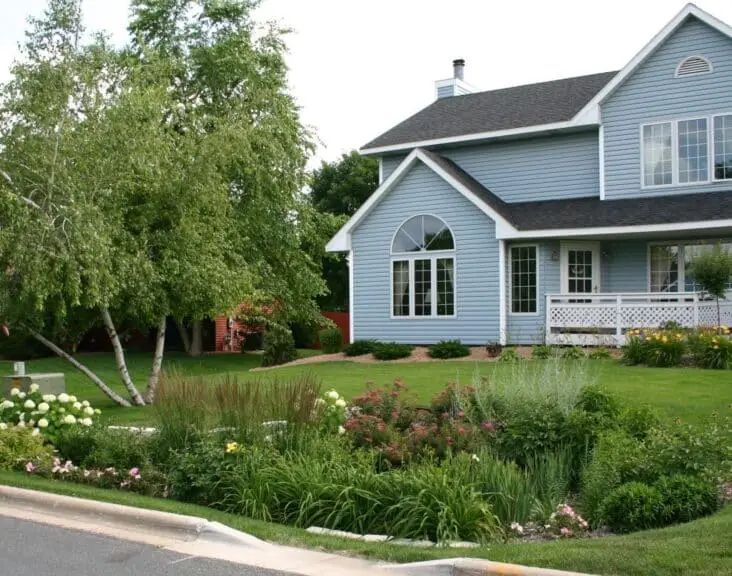 What Are Rain Gardens