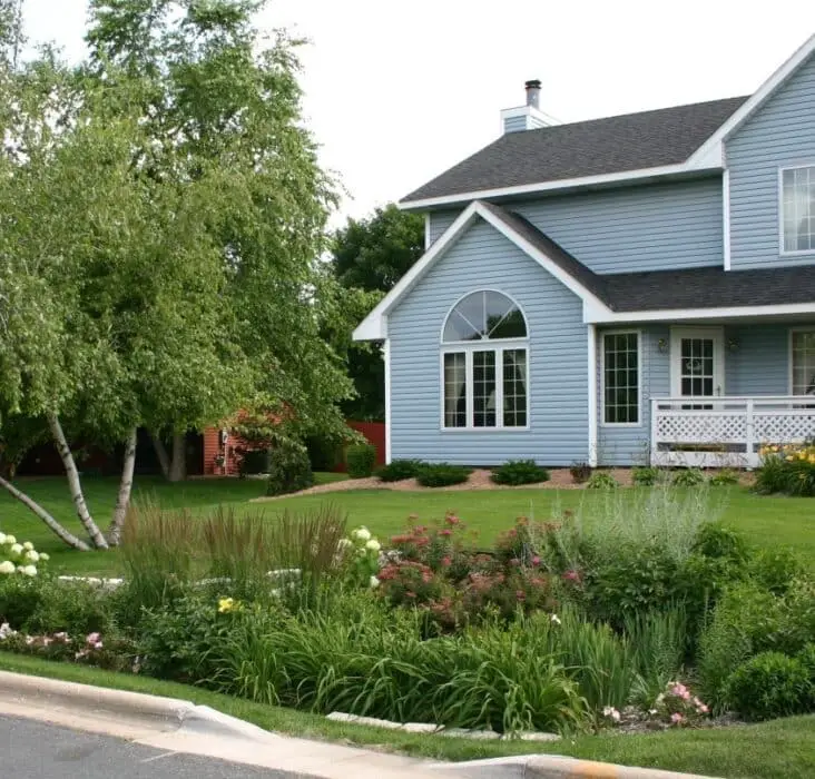 What Are Rain Gardens