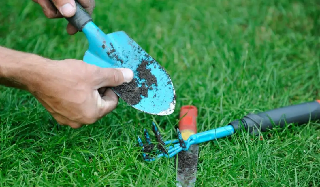 How To Clean Gardening Tools