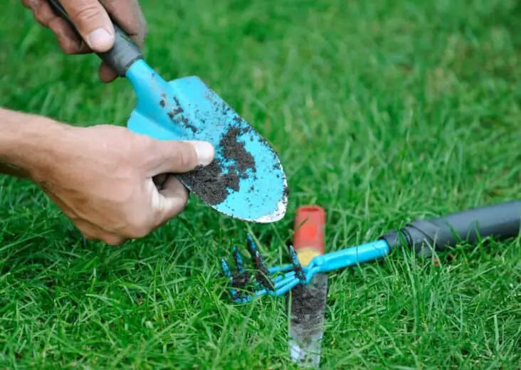 How To Clean Gardening Tools