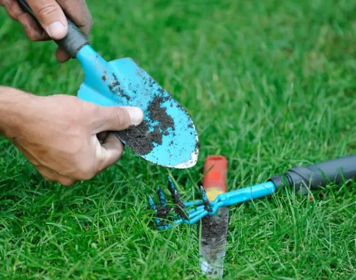 How To Clean Gardening Tools