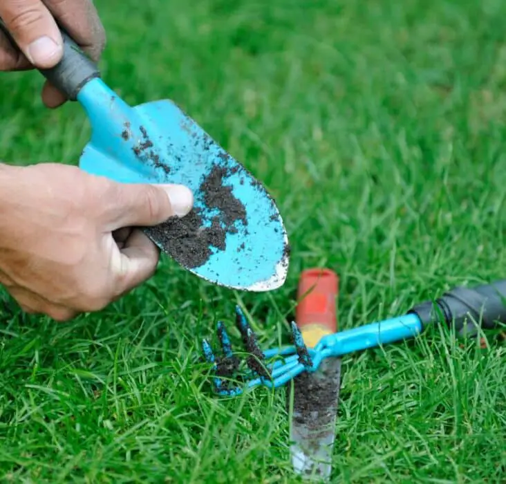 How To Clean Gardening Tools