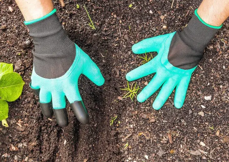 How to Clean Leather Gardening Gloves