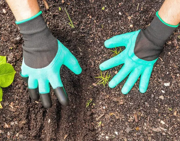 How to Clean Leather Gardening Gloves