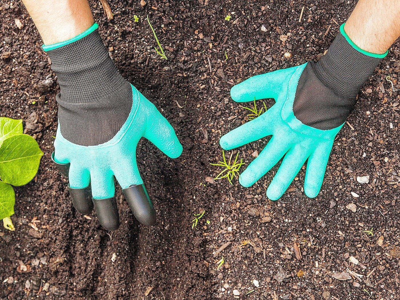 How to Clean Leather Gardening Gloves
