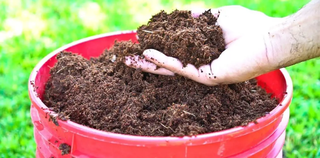 How To Use Coconut Coir In Gardening