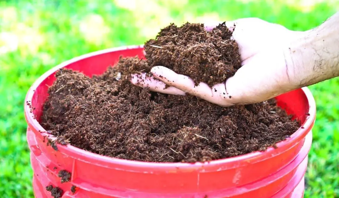 How To Use Coconut Coir In Gardening