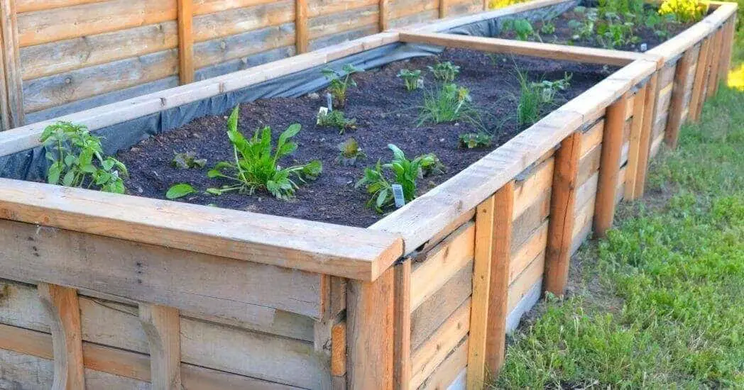 How To Make Wooden Boxes For Gardening