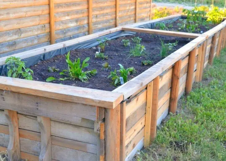 How To Make Wooden Boxes For Gardening